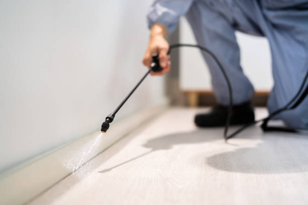 Licensed Mosquito Control service in Shoreview, MN - Show Me Pest Control