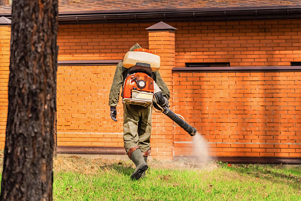 Top rated local Mosquito Control specialists in Shoreview, MN